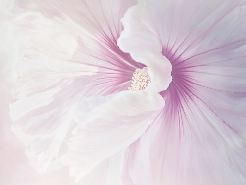 Delicate petals in soft pastel hues
