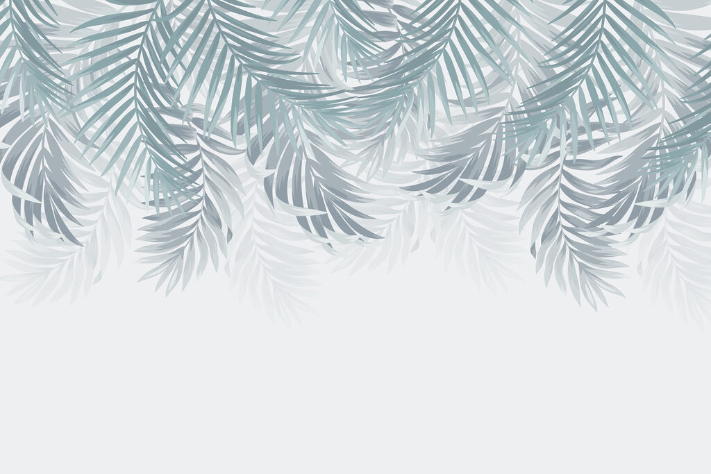 Group of leaves on a white background