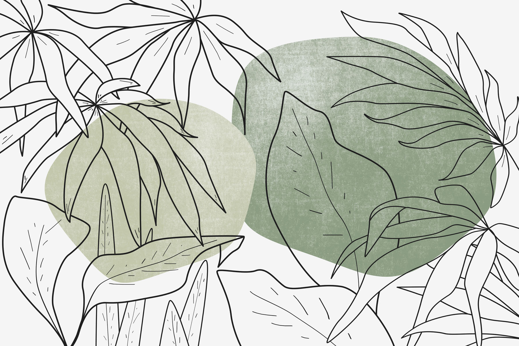 Drawing of leaves and plants