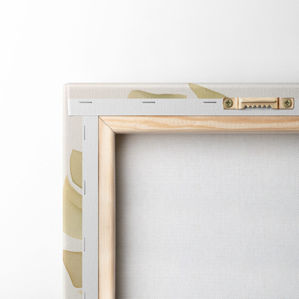 Group of leaves on a white background Group of leaves on a white background