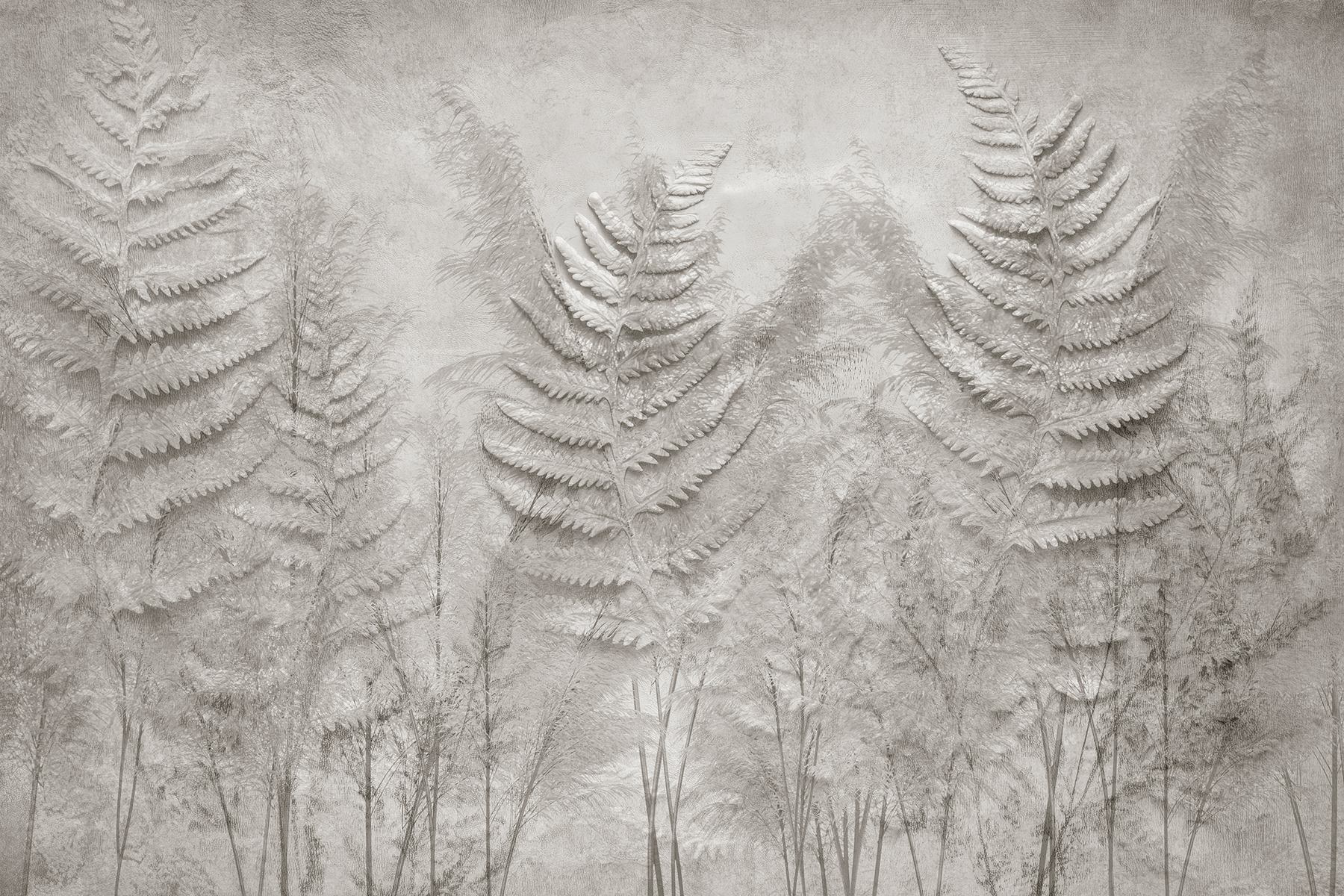 Fern fronds in a row