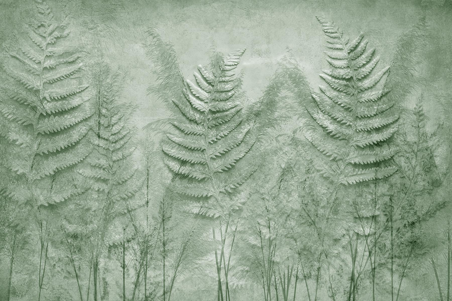 Fern fronds in a wall Fern fronds in a wall