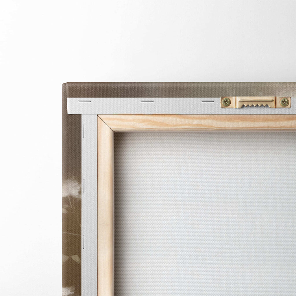 White vase with white flowers