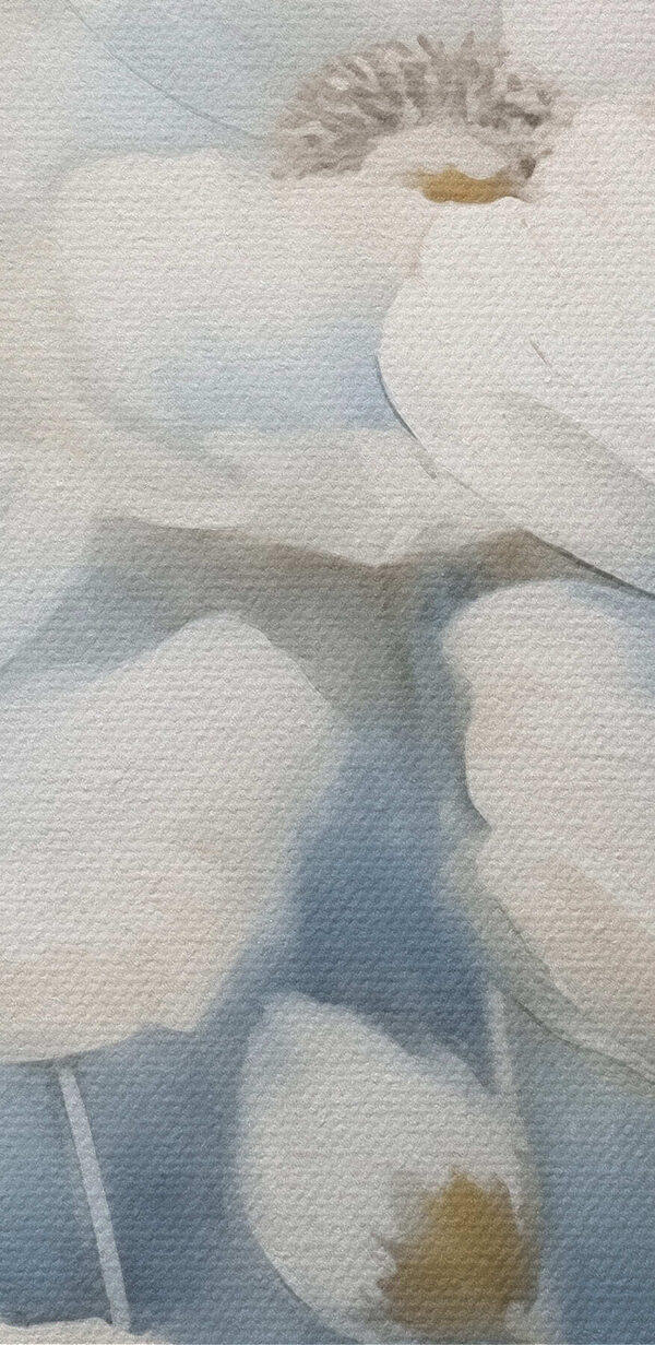 Maľba bielych kvetov Maľba bielych kvetov