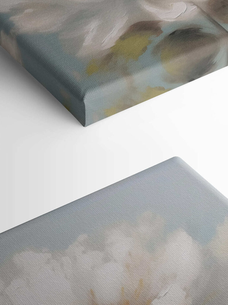 White flower with yellow center White flower with yellow center