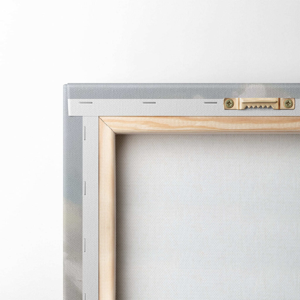 White flower with yellow center White flower with yellow center