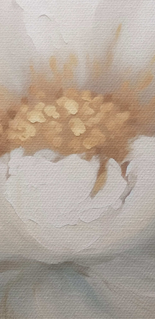 White flower with yellow center White flower with yellow center