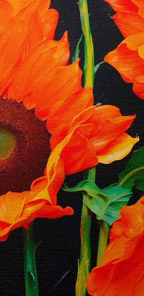 Group of orange flowers Group of orange flowers