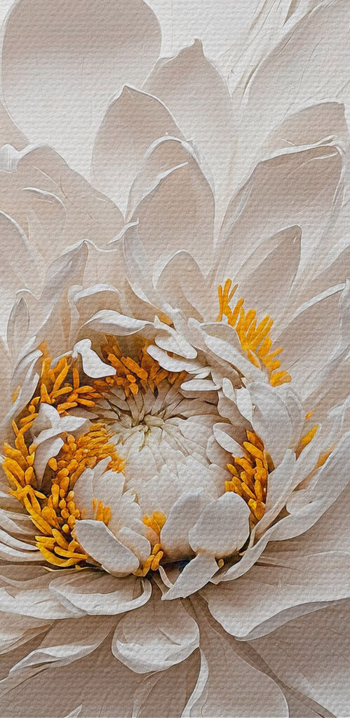 White flower with yellow center