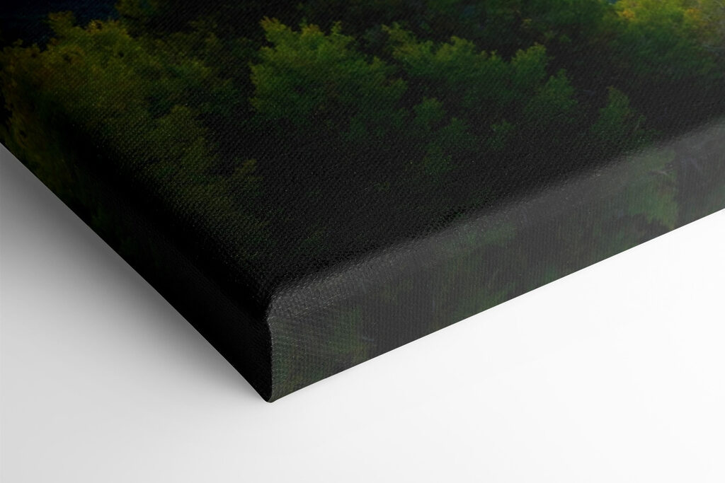 Landscape of mountains and trees