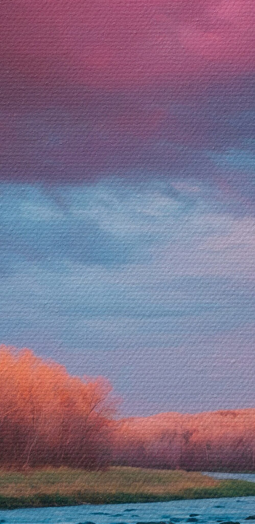 River running through a forest