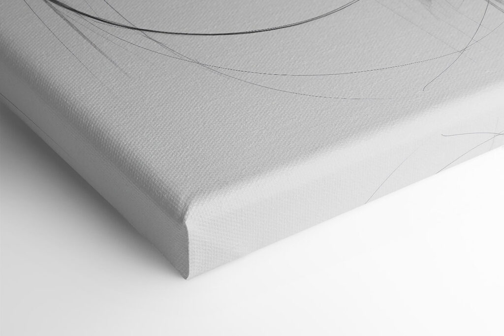 Drawing of a horse Drawing of a horse