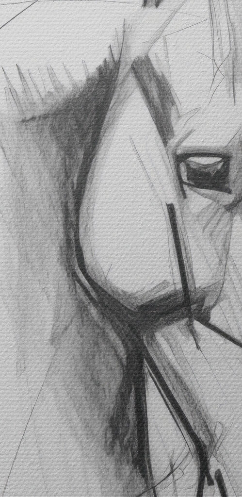 Drawing of a horse Drawing of a horse