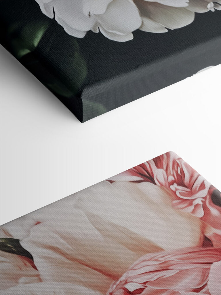 Vibrant blooms in full bloom