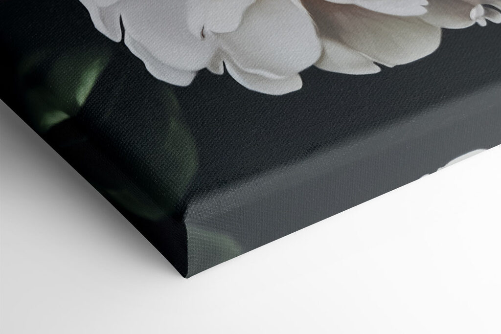 Vibrant blooms in full bloom