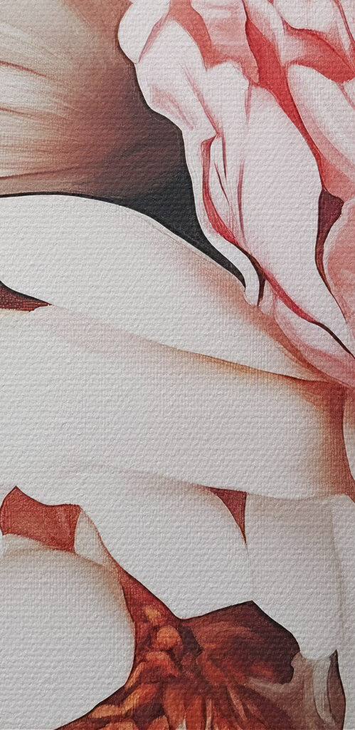 Vibrant blooms in full bloom