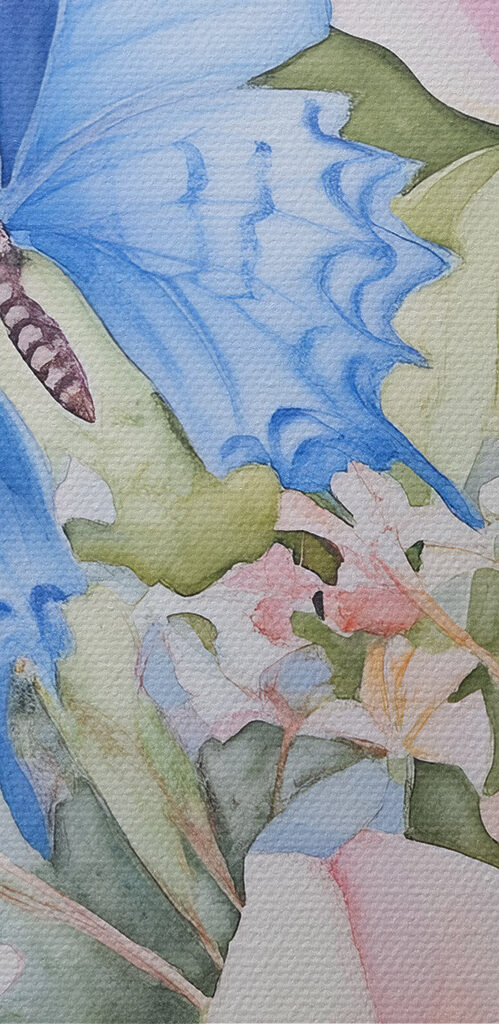 Painting of a butterfly on flowers Painting of a butterfly on flowers
