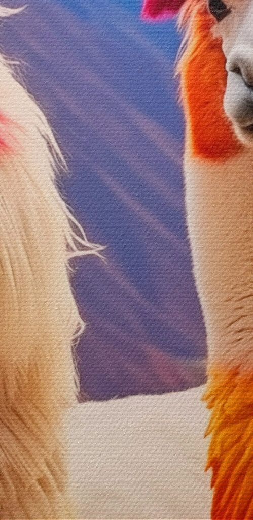 Two llamas with rainbow colored hair