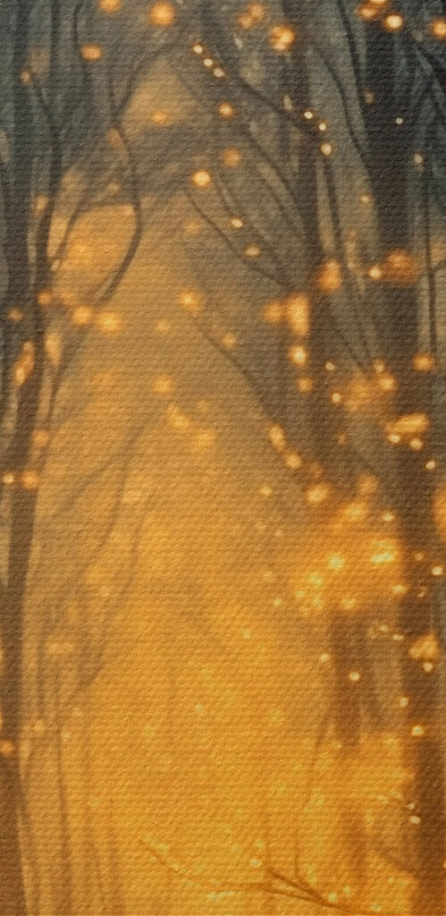 Path through a forest with many trees with lights Path through a forest with many trees with lights