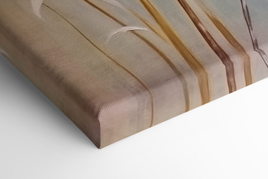 Painting of dandelions Painting of dandelions