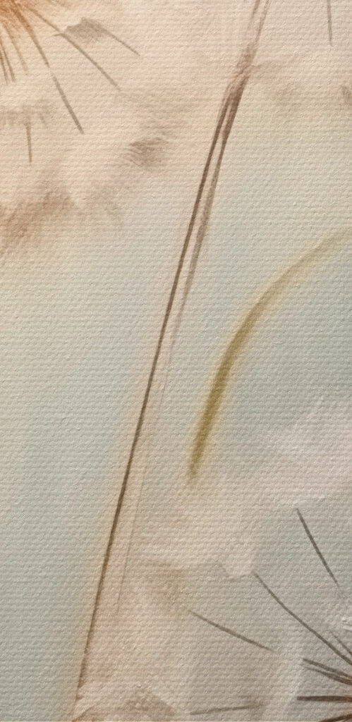 Painting of dandelions Painting of dandelions