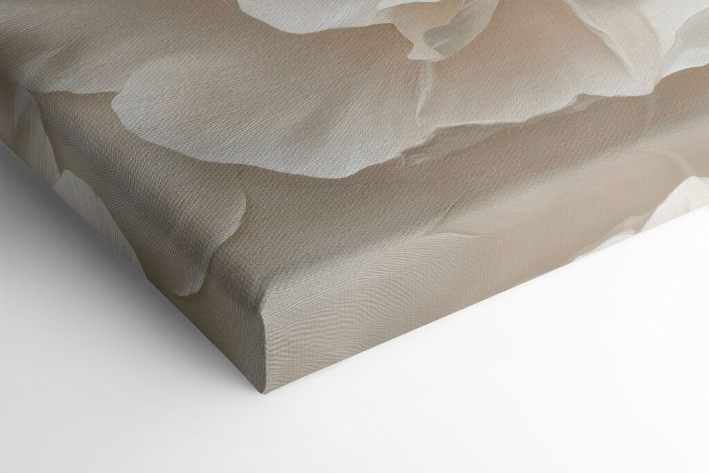 Delicate petals in soft hues