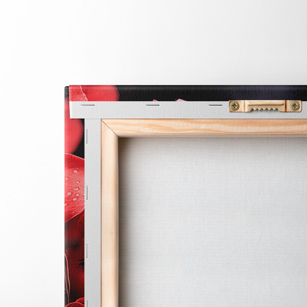 Group of red flowers Group of red flowers