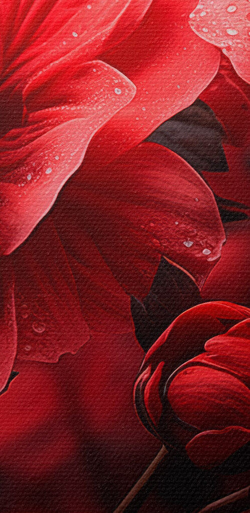 Group of red flowers Group of red flowers