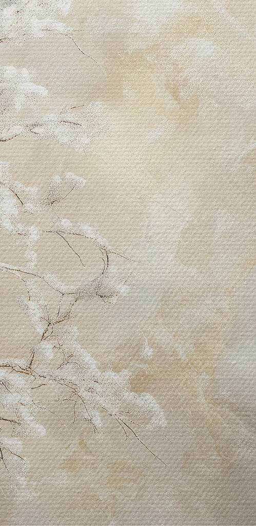 Snow covered trees in a snowy landscape Snow covered trees in a snowy landscape