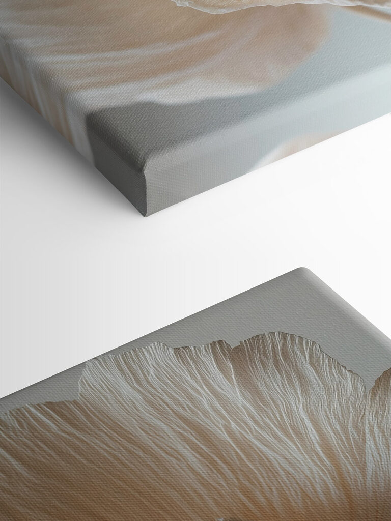 Delicate textured flower petals displayed Delicate textured flower petals displayed