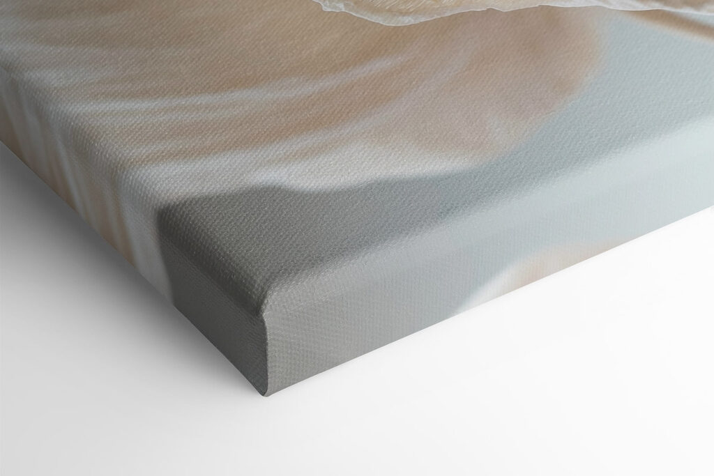 Delicate textured flower petals displayed Delicate textured flower petals displayed