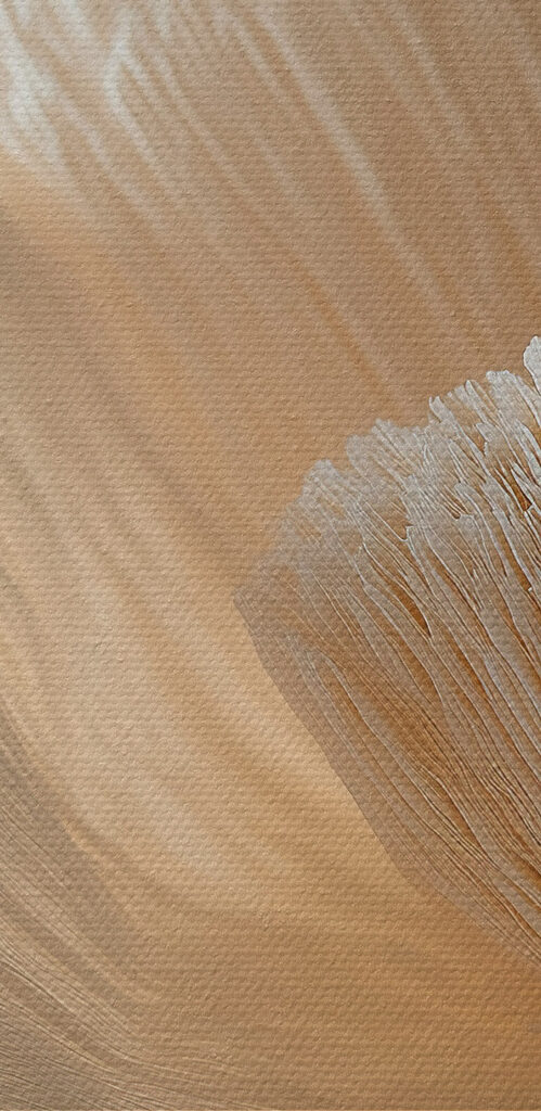 Delicate textured flower petals displayed Delicate textured flower petals displayed