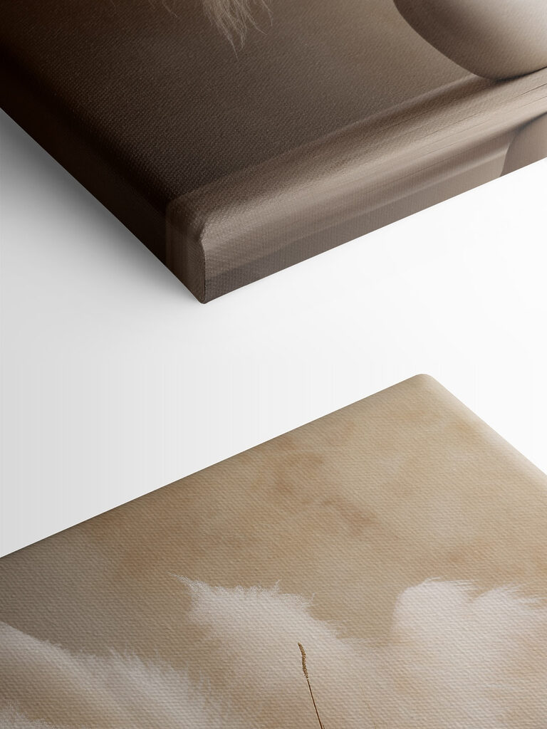 White vase with fluffy flowers