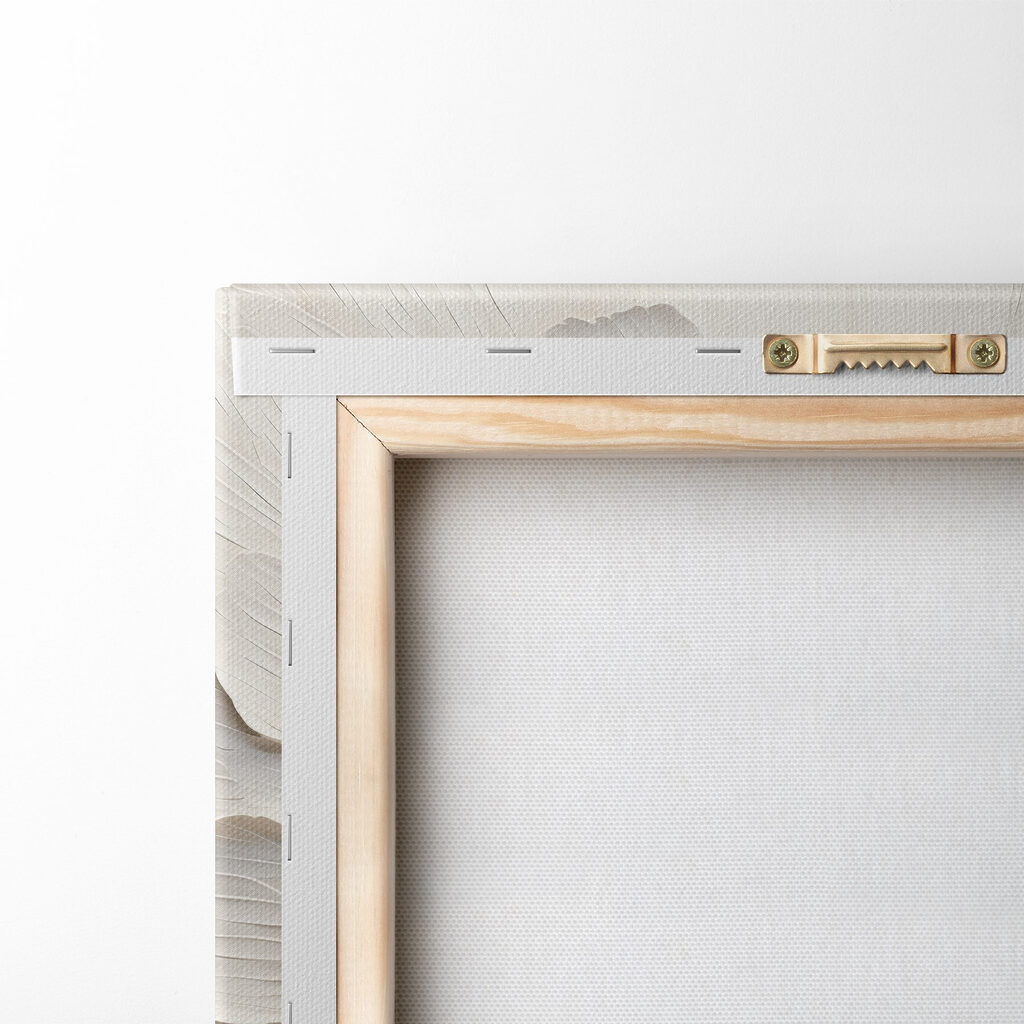 White flower with many petals White flower with many petals