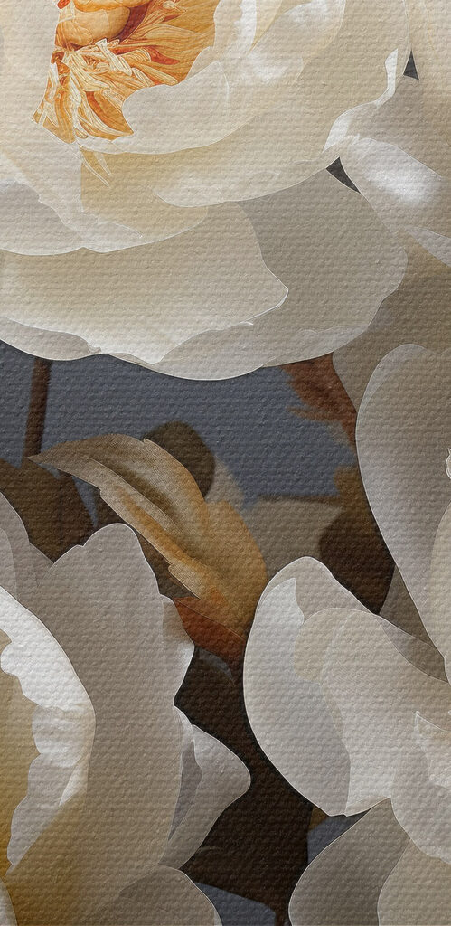 Bouquet of white flowers