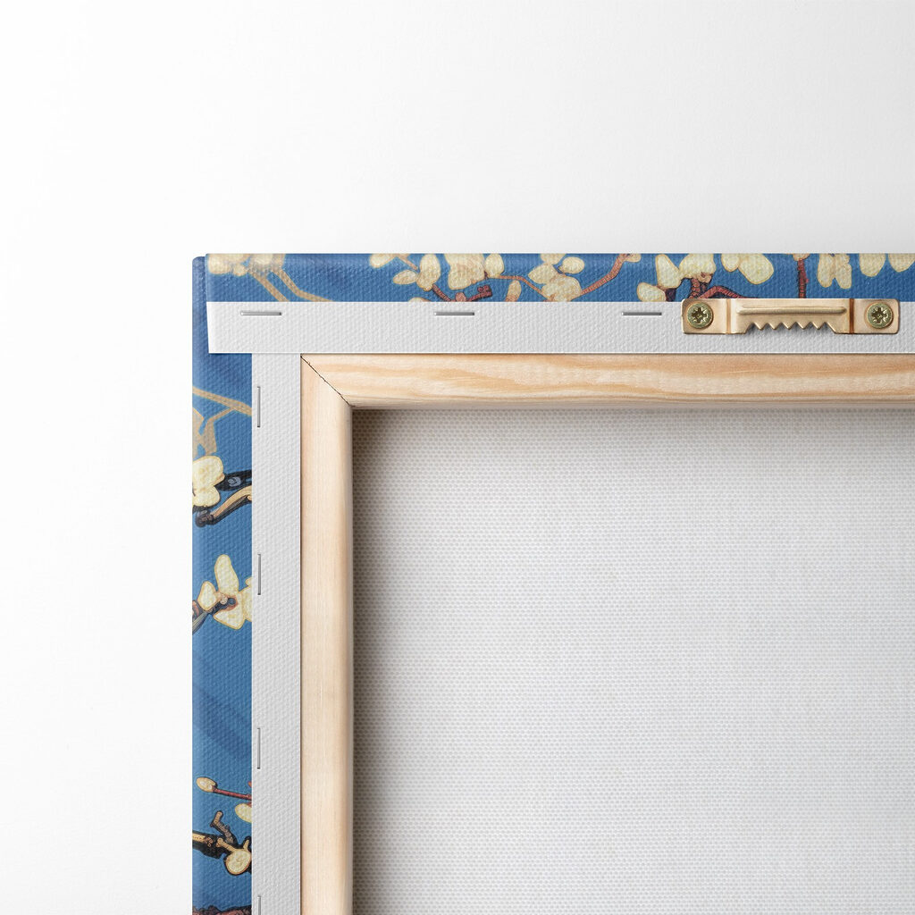 Tree with white flowers Tree with white flowers