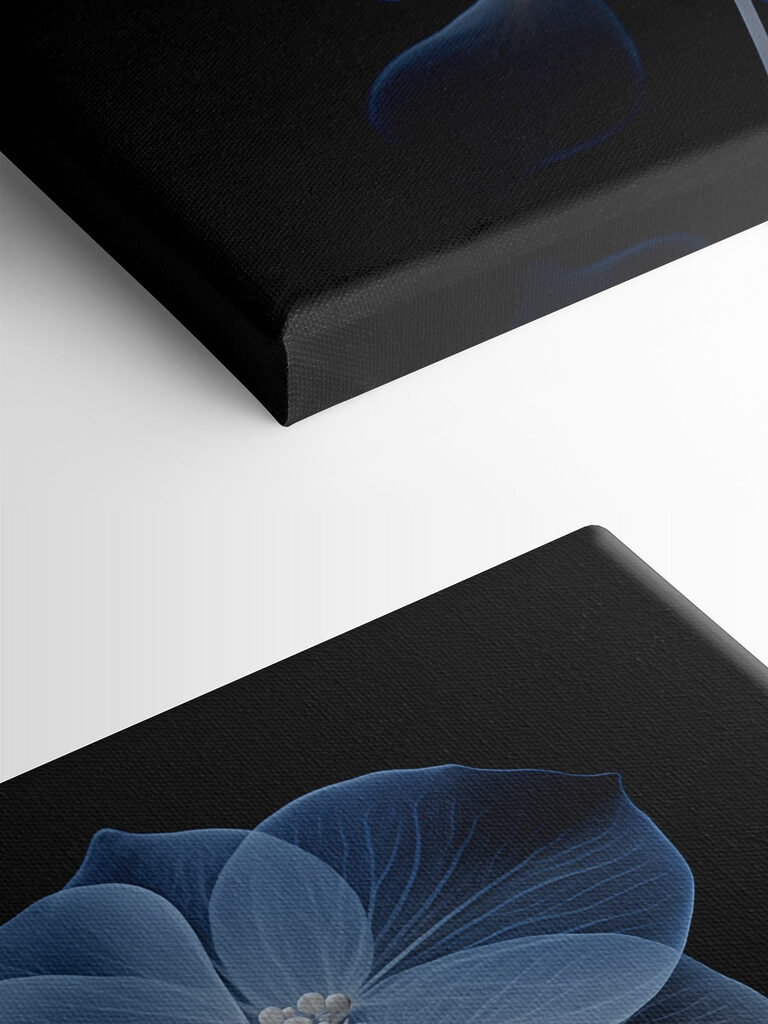 Translucent flowers on a dark background Translucent flowers on a dark background