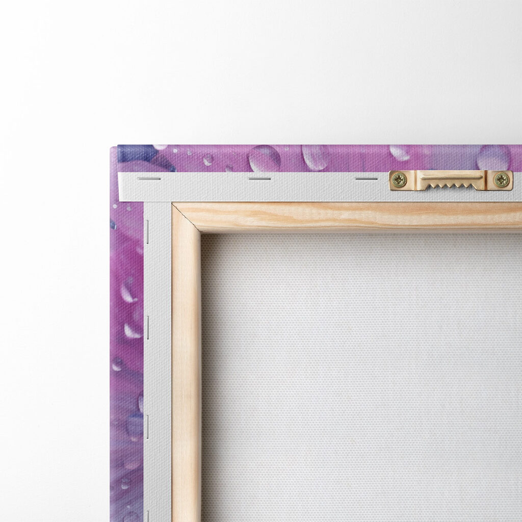 Delicate flowers adorned with water droplets Delicate flowers adorned with water droplets