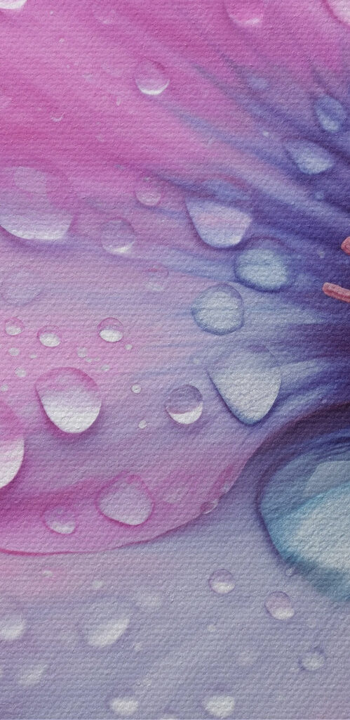 Delicate flowers adorned with water droplets Delicate flowers adorned with water droplets