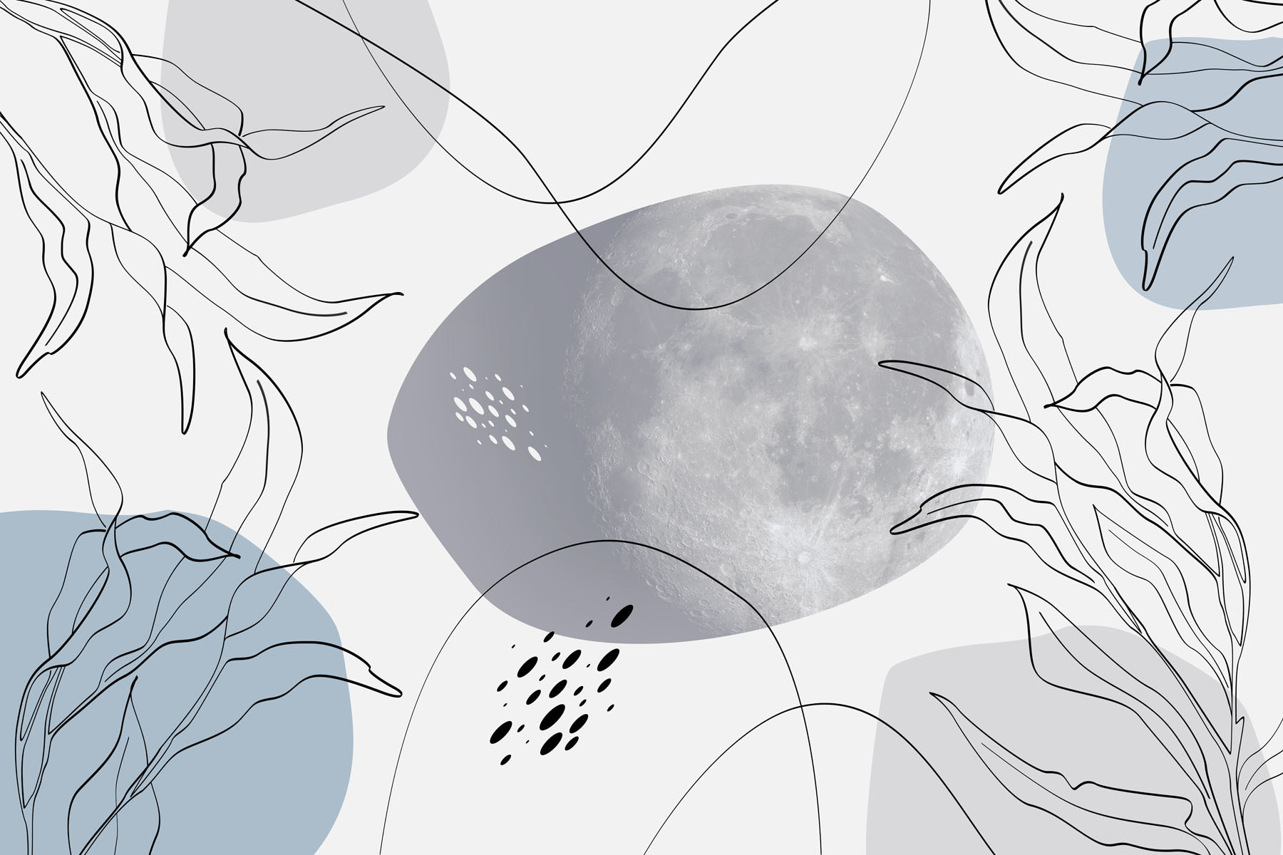 Moon and plants on a white background Moon and plants on a white background