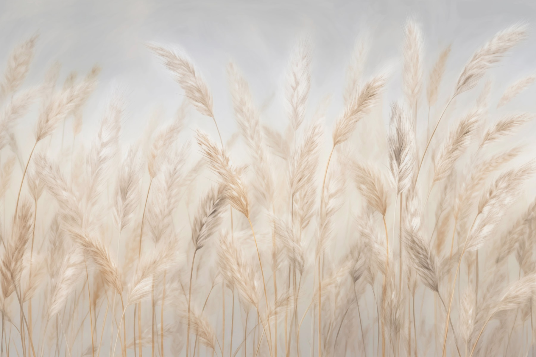 Soft grasses swaying in the breeze