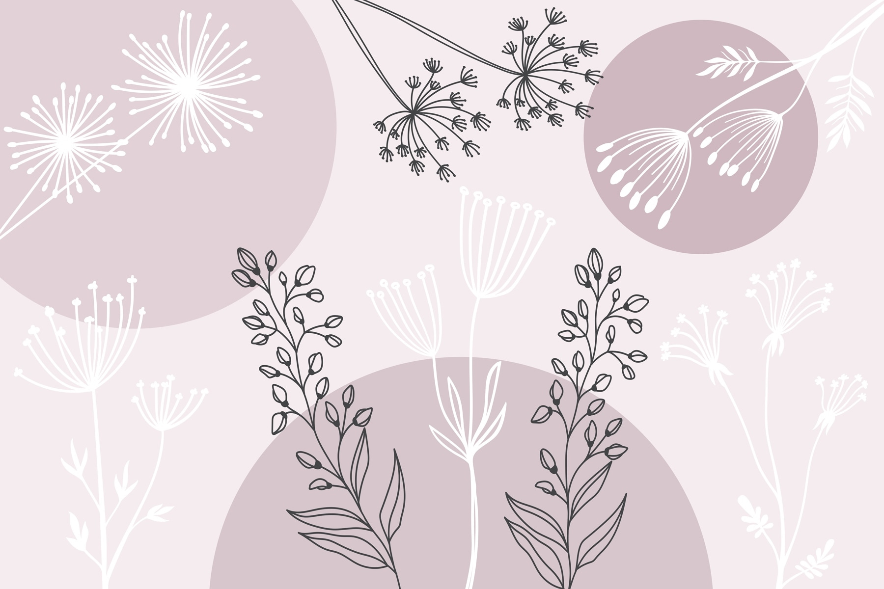 Drawing of flowers and plants Drawing of flowers and plants