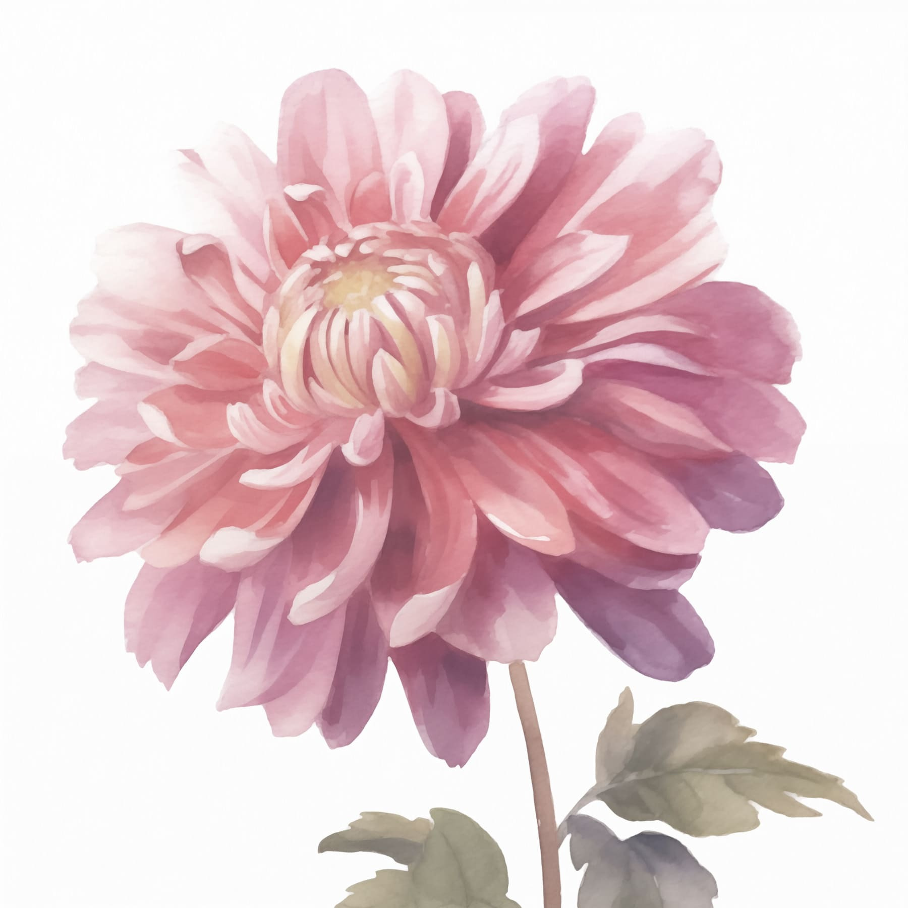 Pink flower with green leaves Pink flower with green leaves