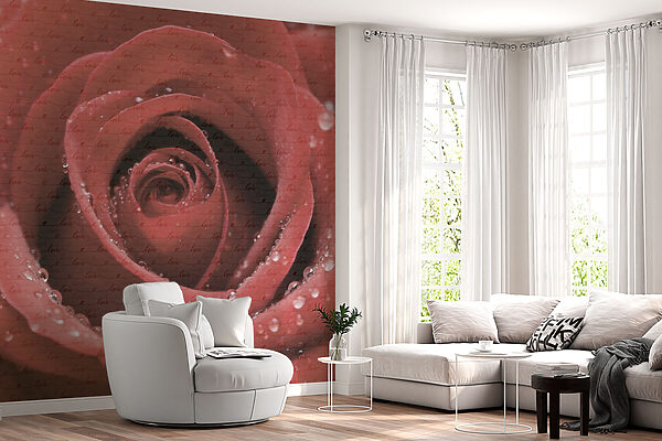 Delicate petals adorned with droplets Delicate petals adorned with droplets