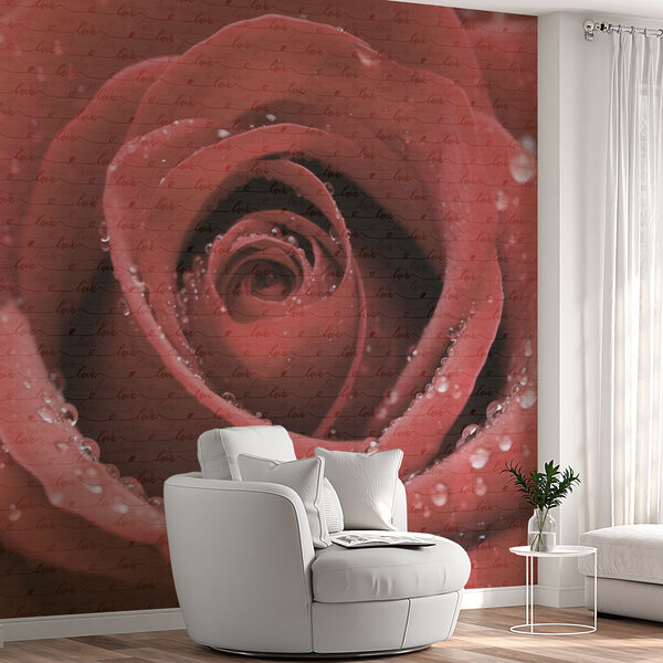 Delicate petals adorned with droplets Delicate petals adorned with droplets