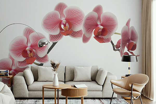Jemné orchidey v nežnom kvete Jemné orchidey v nežnom kvete
