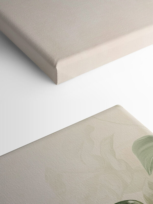 Serene greens in soft light