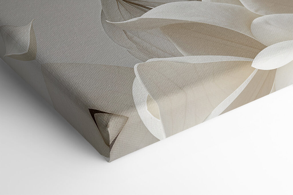 Delicate blooms in soft hues Delicate blooms in soft hues