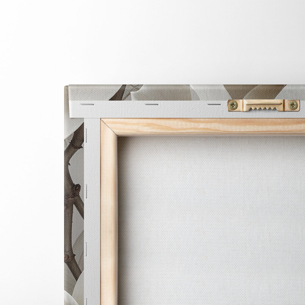 Delicate blooms in soft hues Delicate blooms in soft hues