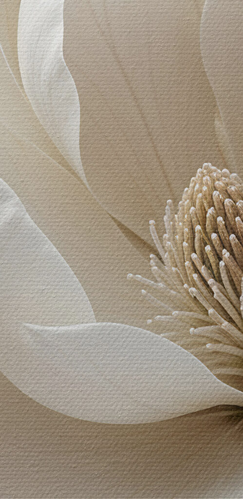 Delicate blooms in soft hues Delicate blooms in soft hues